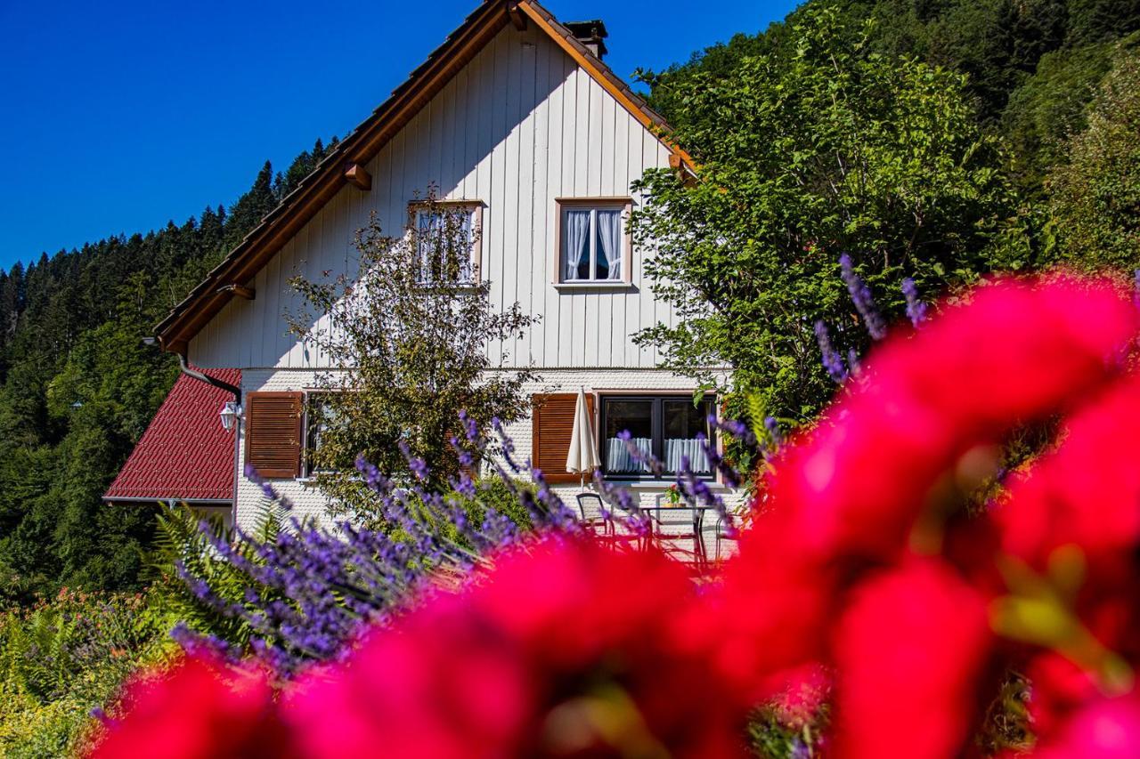 Haus Niedermaettle Apartamento Oppenau Exterior foto