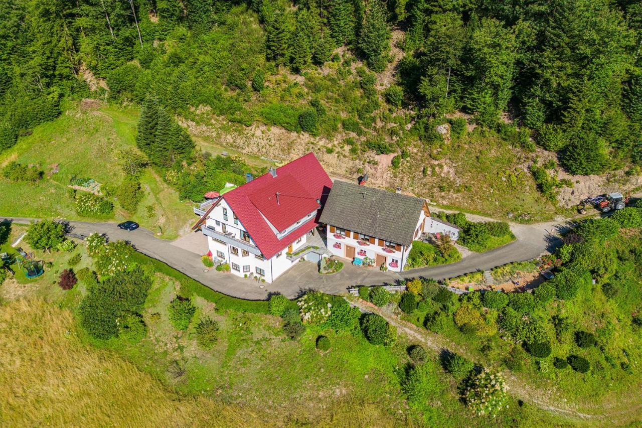 Haus Niedermaettle Apartamento Oppenau Exterior foto