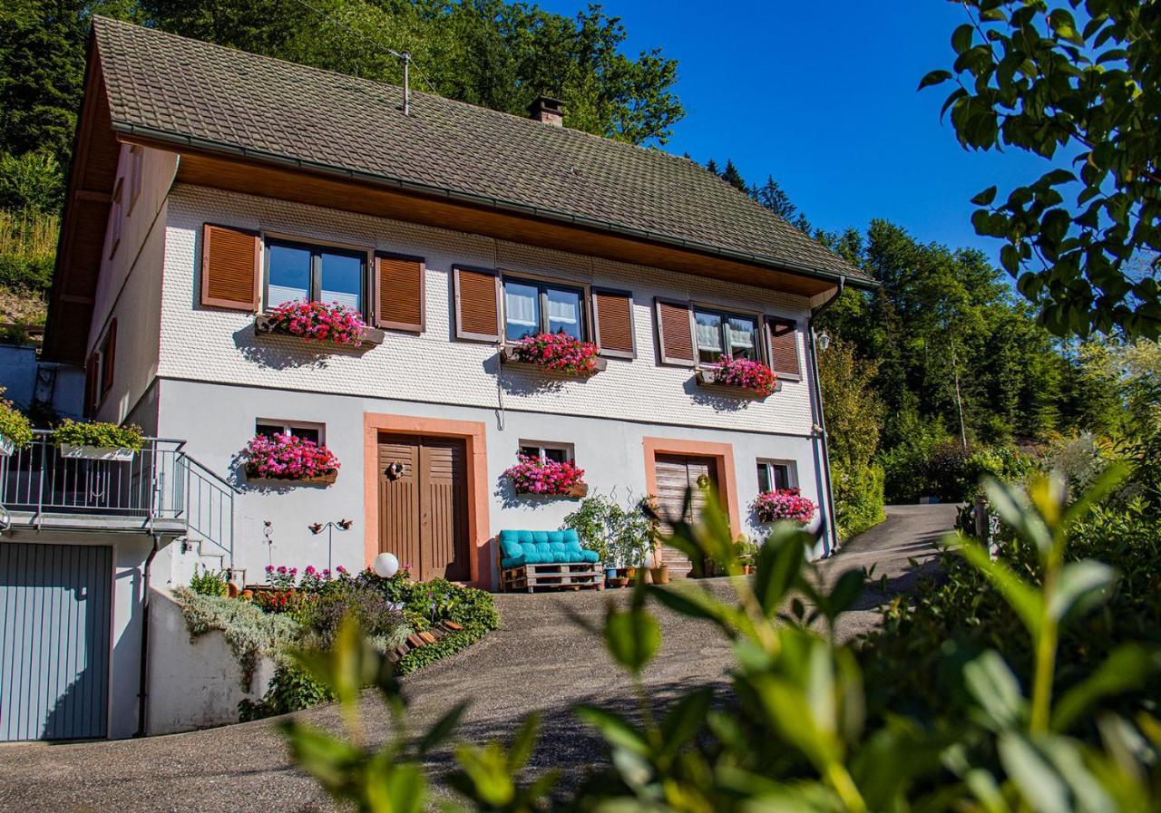 Haus Niedermaettle Apartamento Oppenau Exterior foto