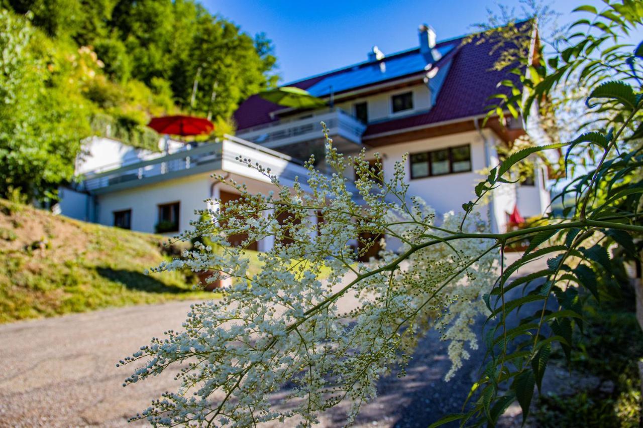 Haus Niedermaettle Apartamento Oppenau Exterior foto